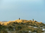 P1310956