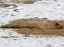 P1320476
