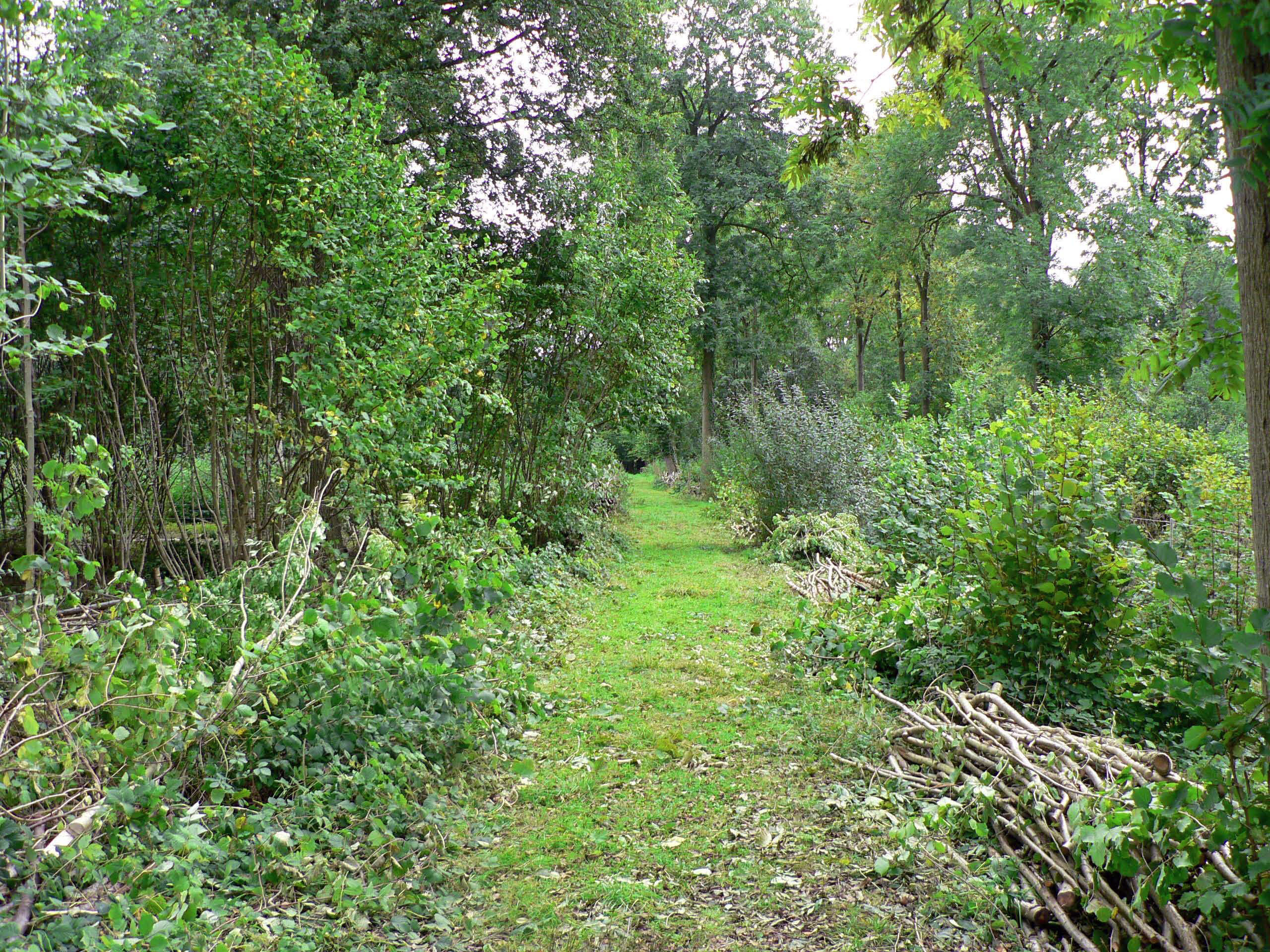 select left of pic for previous, right for next, top for index