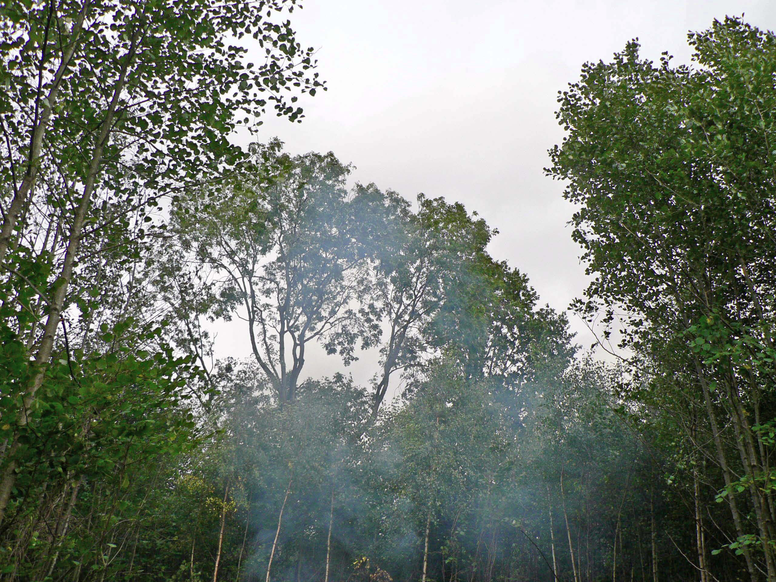 select left of pic for previous, right for next, top for index