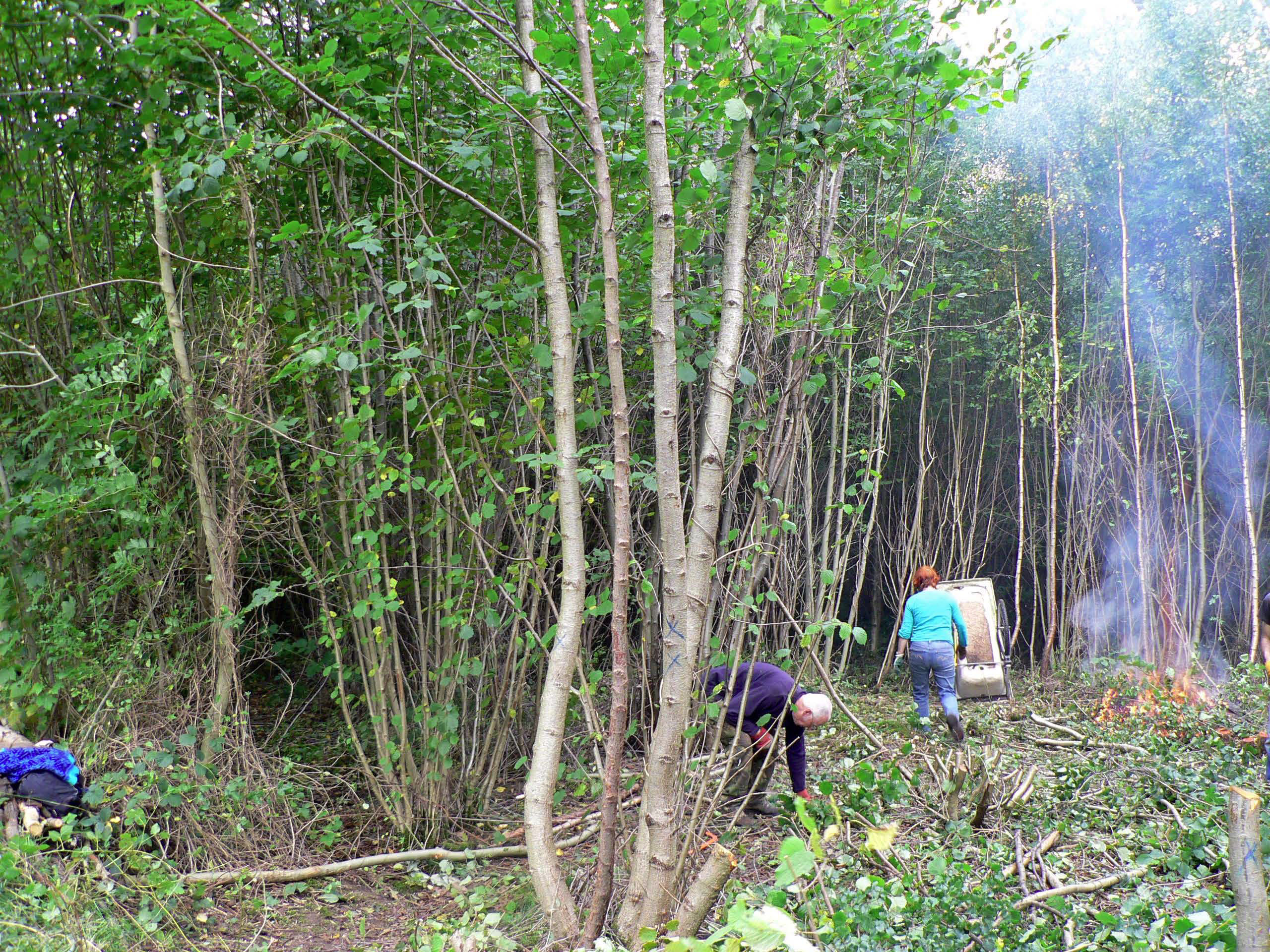 select left of pic for previous, right for next, top for index