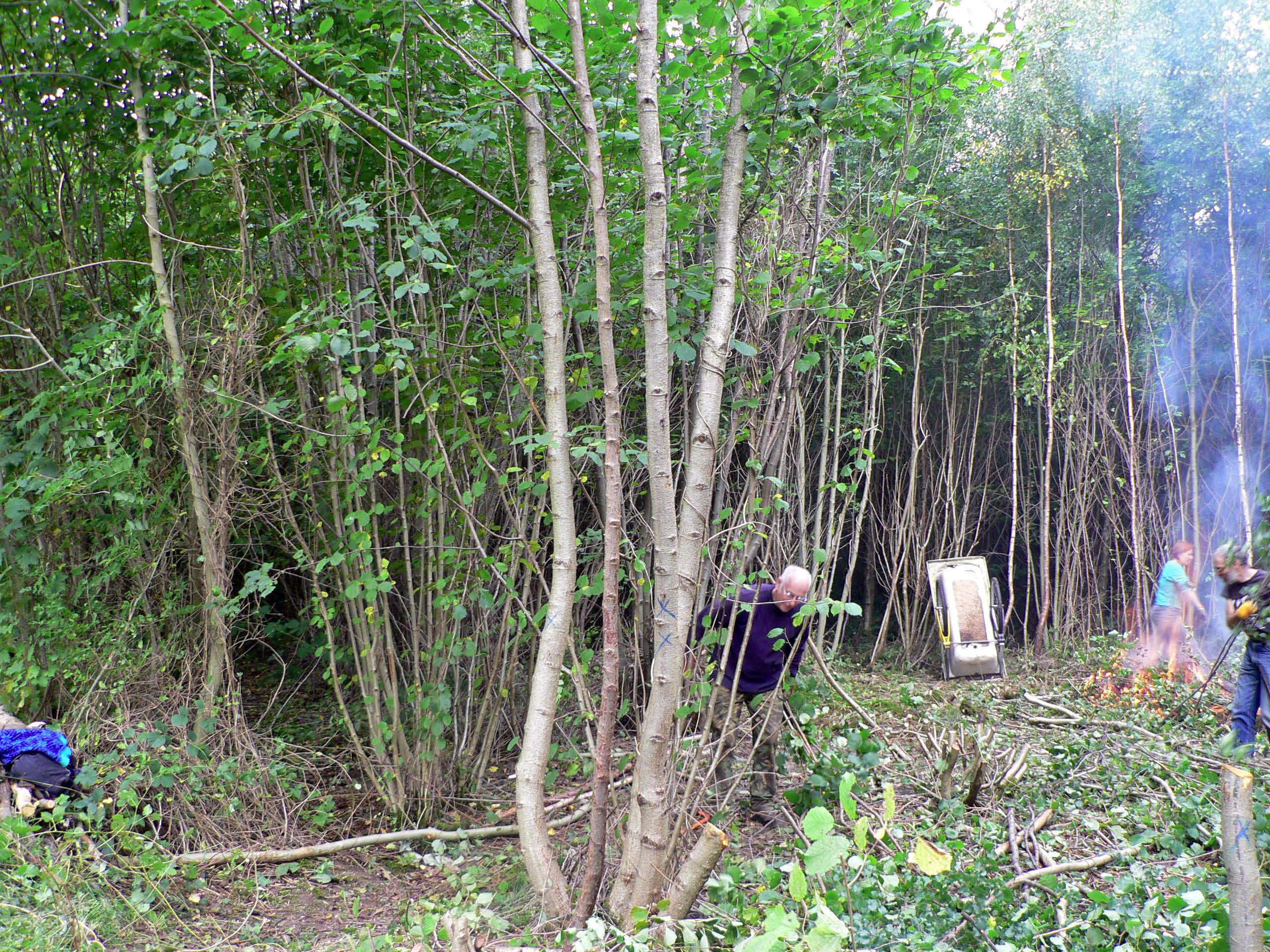 select left of pic for previous, right for next, top for index