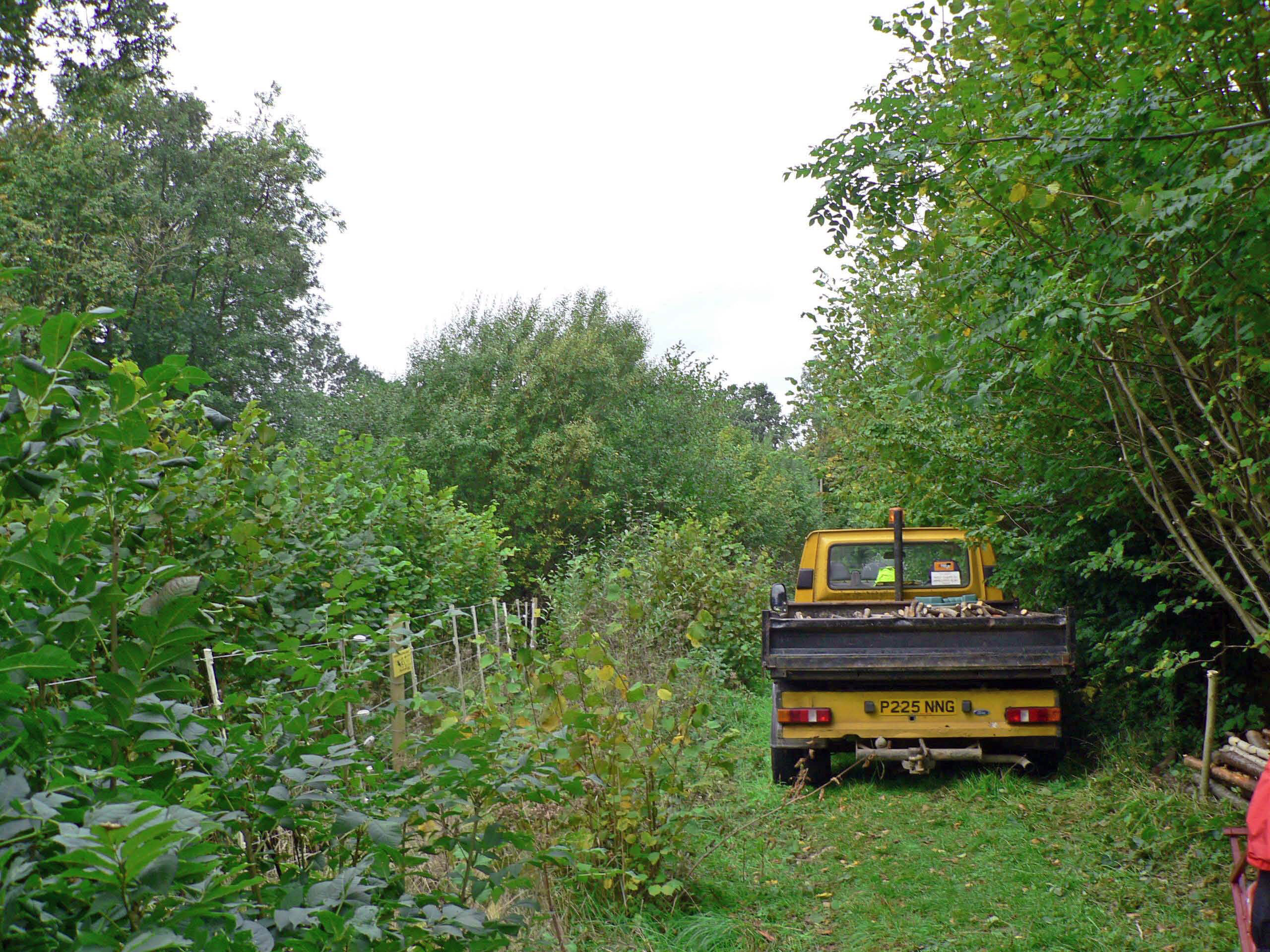 select left of pic for previous, right for next, top for index