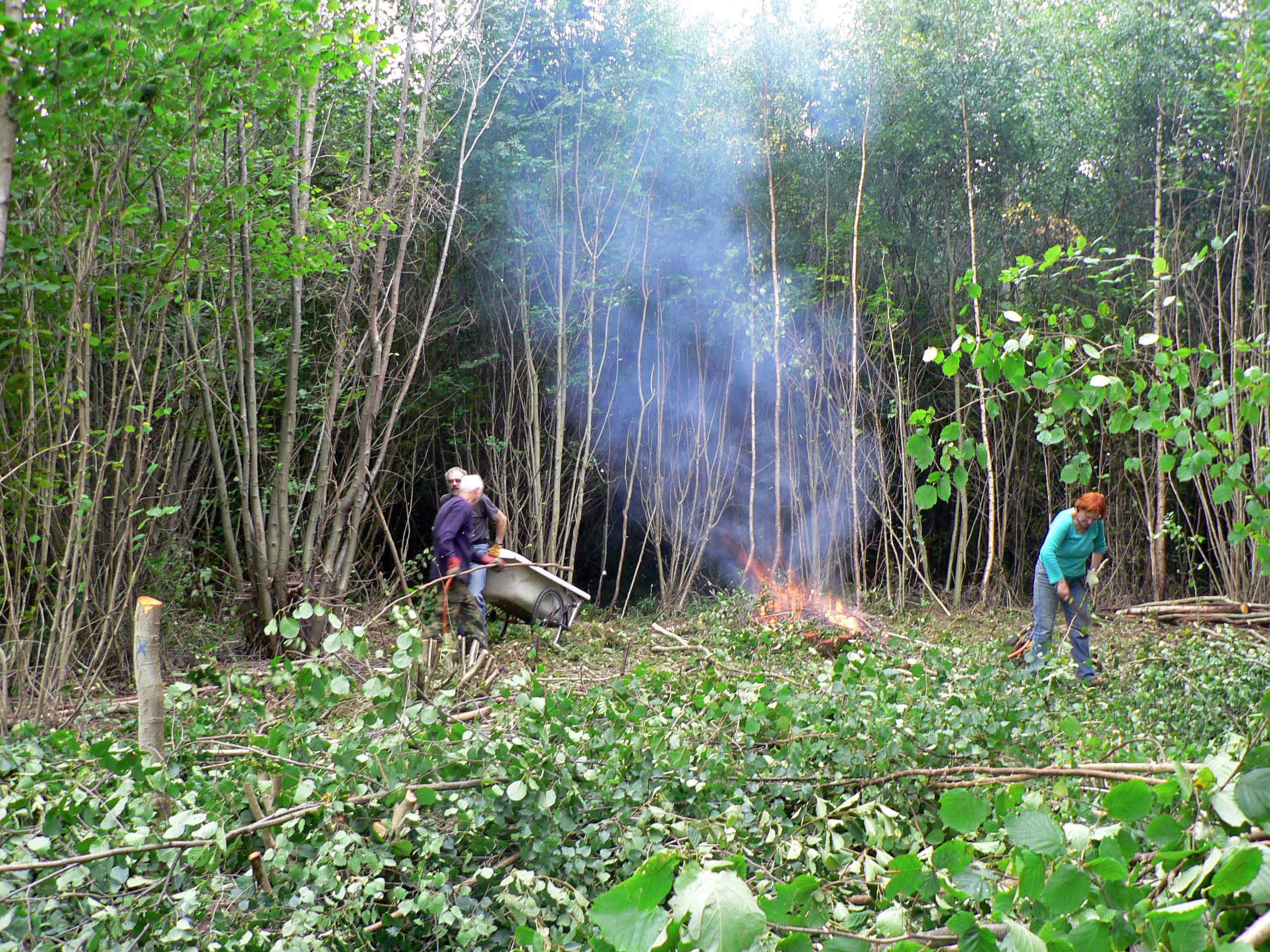 select left of pic for previous, right for next, top for index