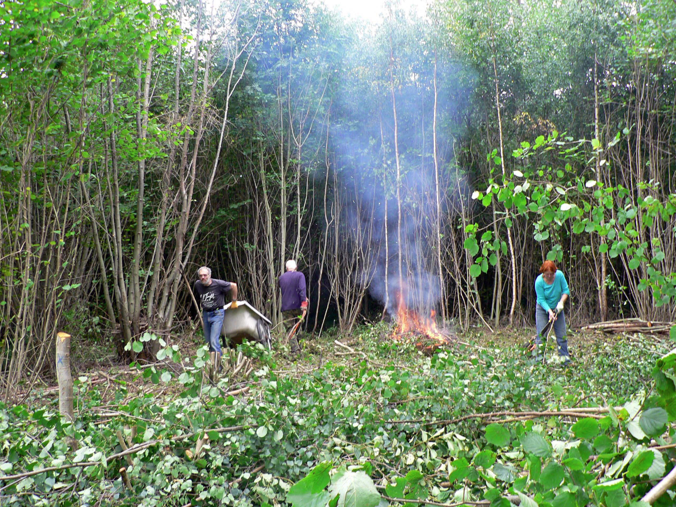 select left of pic for previous, right for next, top for index