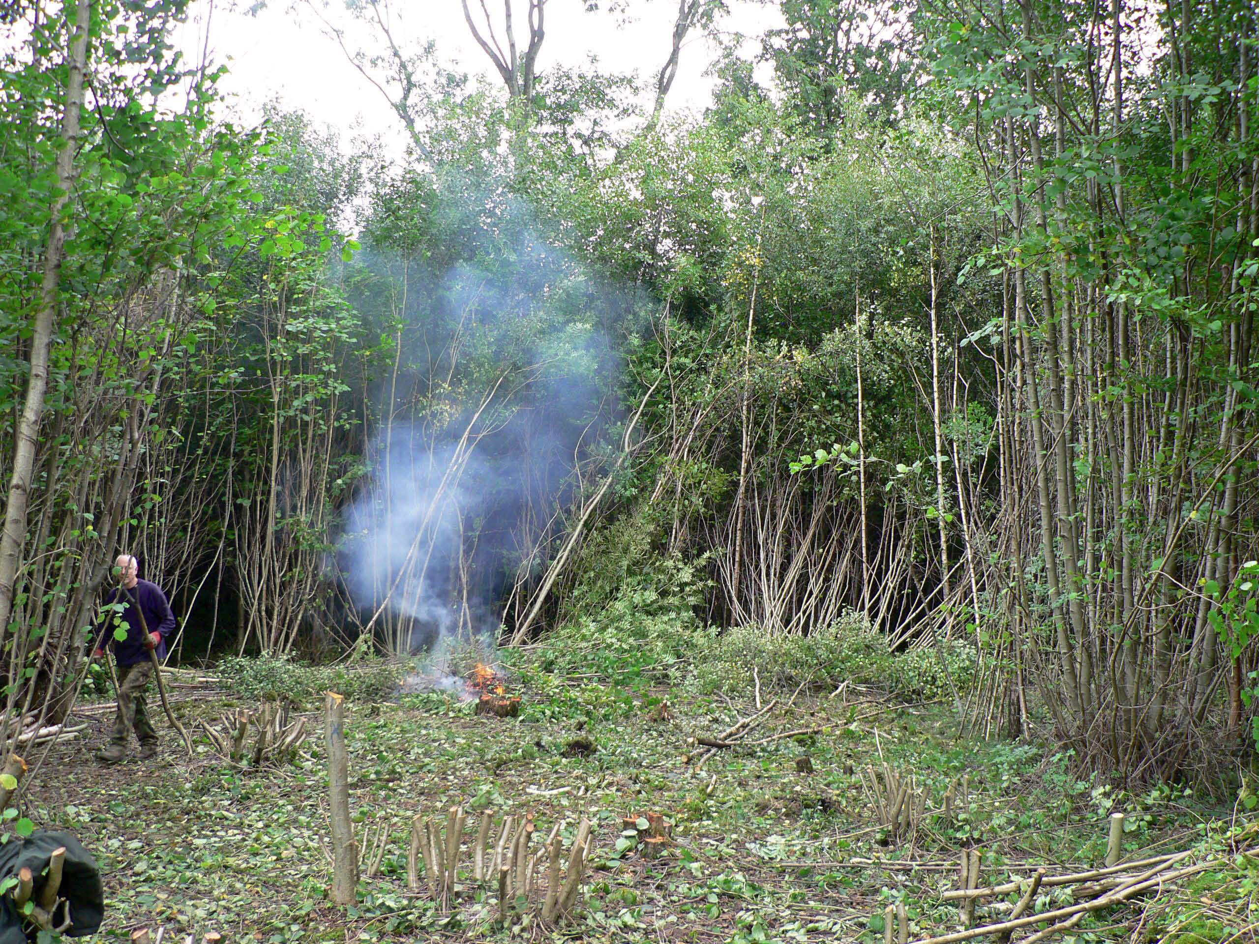 select left of pic for previous, right for next, top for index