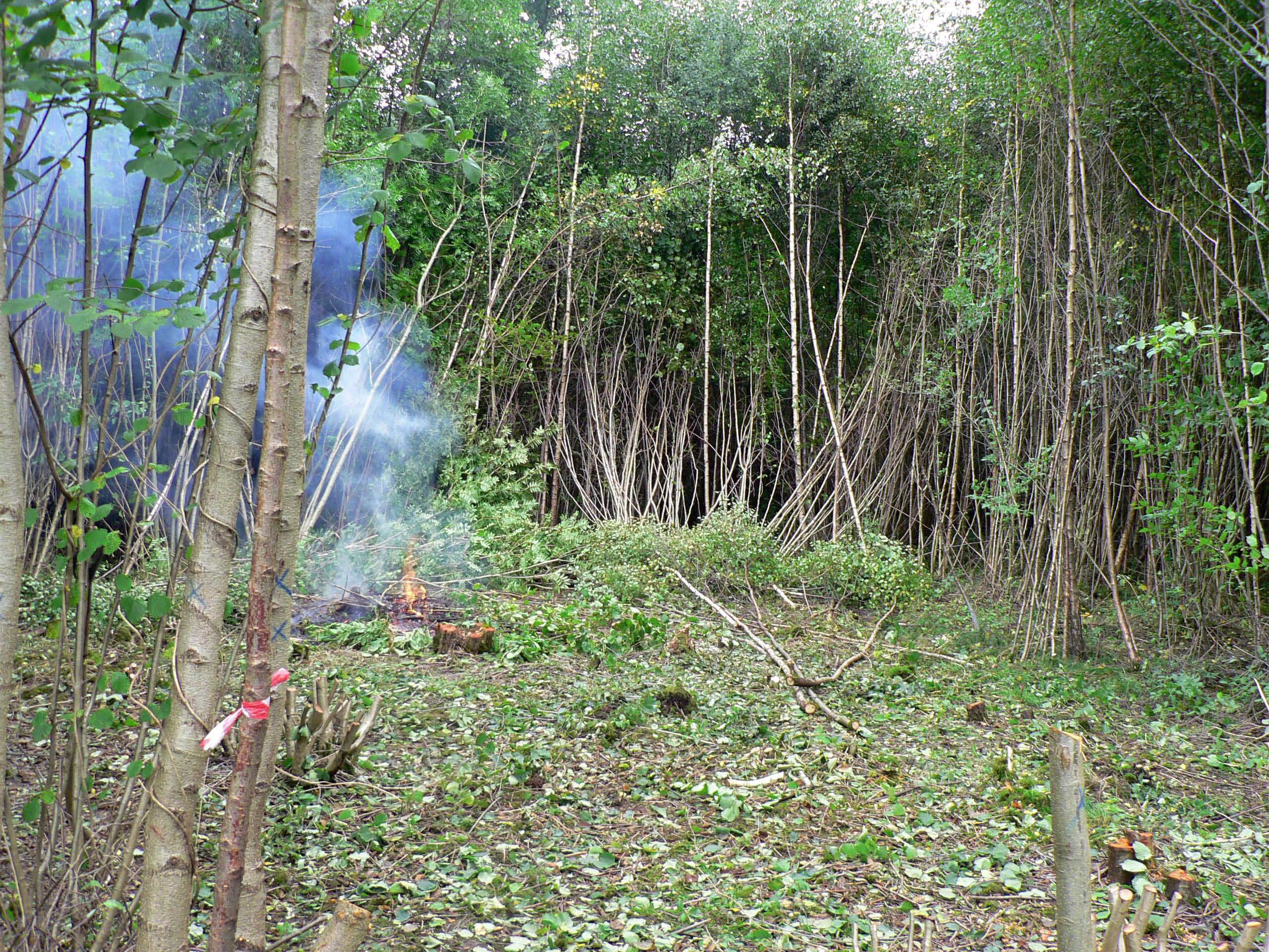 select left of pic for previous, right for next, top for index