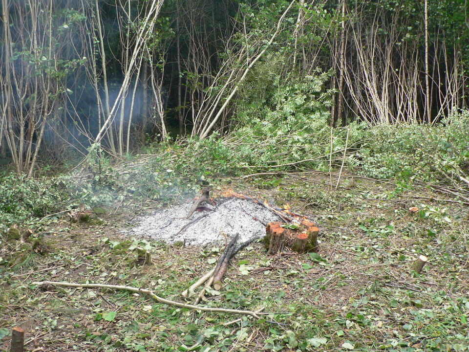 select left of pic for previous, right for next, top for index