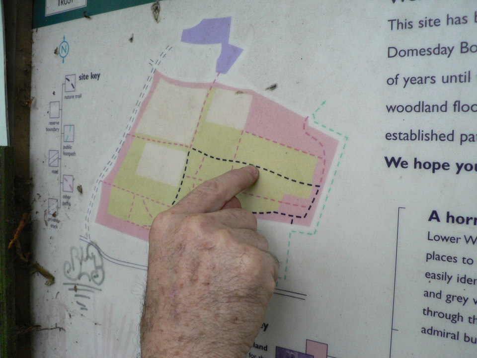 select left of pic for previous, right for next, top for index