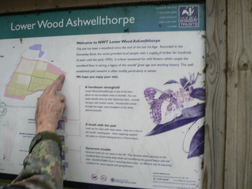 select left of pic for previous, right for next, top for index