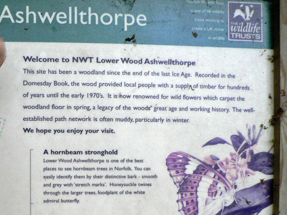 select left of pic for previous, right for next, top for index