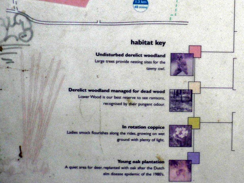 select left of pic for previous, right for next, top for index