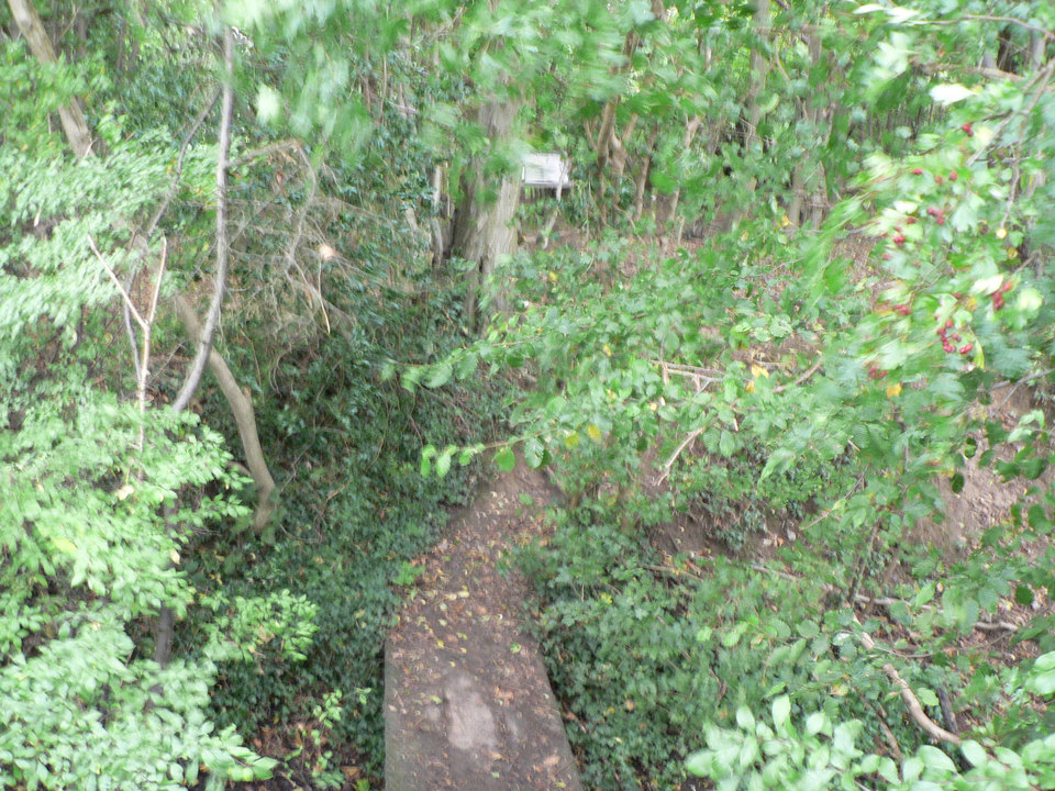 select left of pic for previous, right for next, top for index