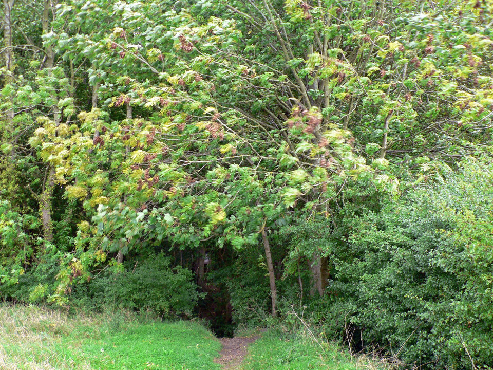 select left of pic for previous, right for next, top for index