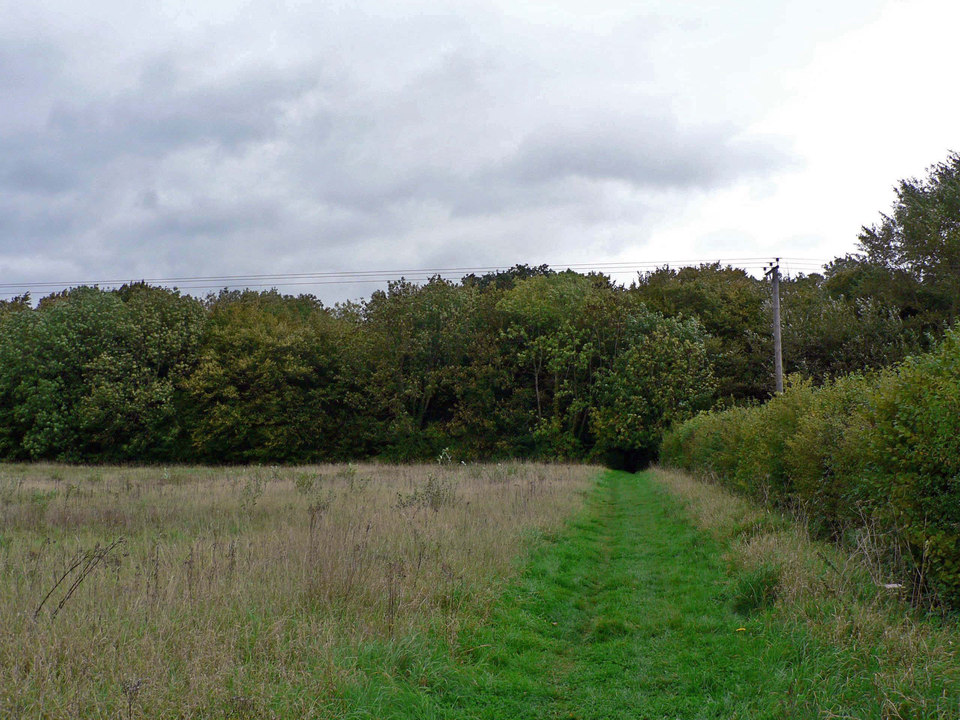 select left of pic for previous, right for next, top for index