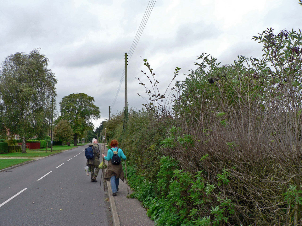 select left of pic for previous, right for next, top for index