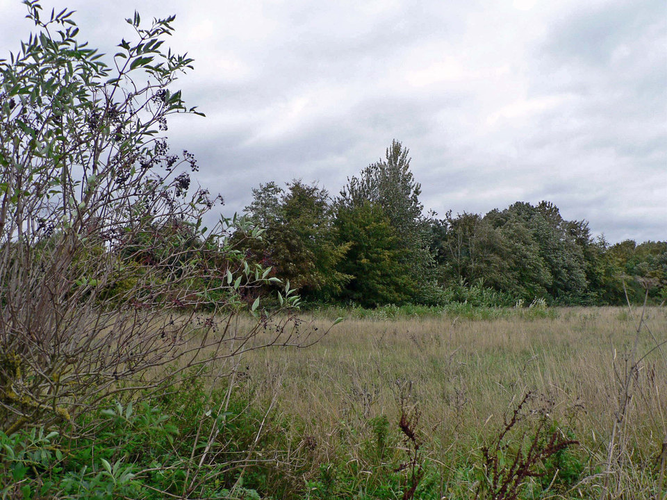 select left of pic for previous, right for next, top for index