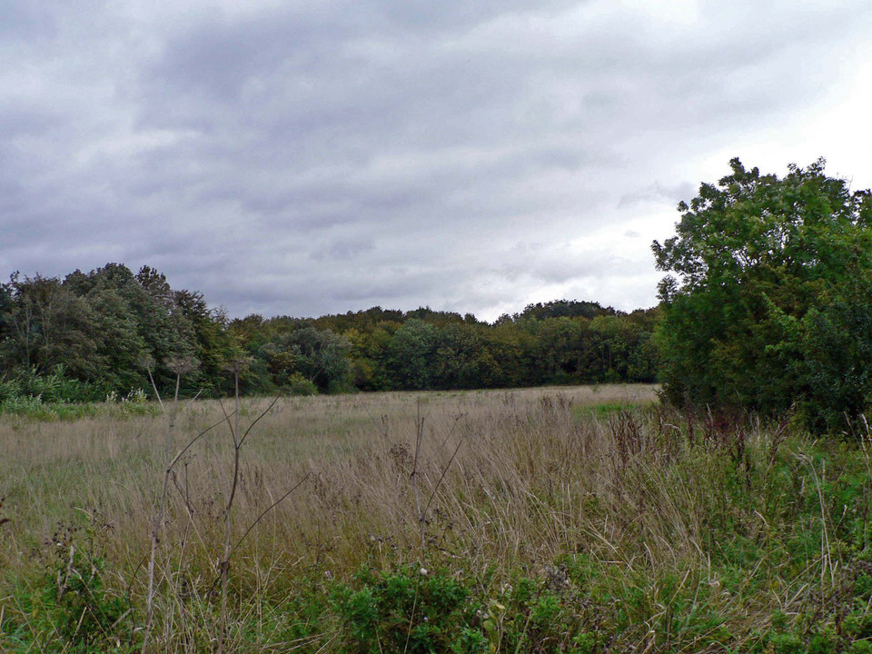 select left of pic for previous, right for next, top for index