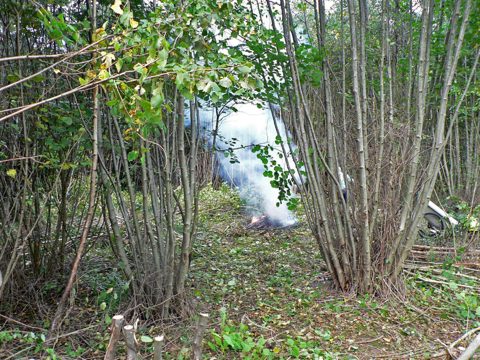 select left of pic for previous, right for next, top for index