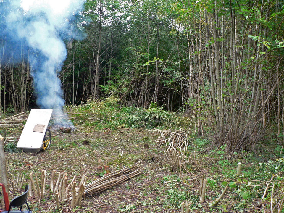 select left of pic for previous, right for next, top for index