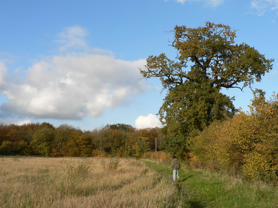 select left of pic for previous, right for next, top for index