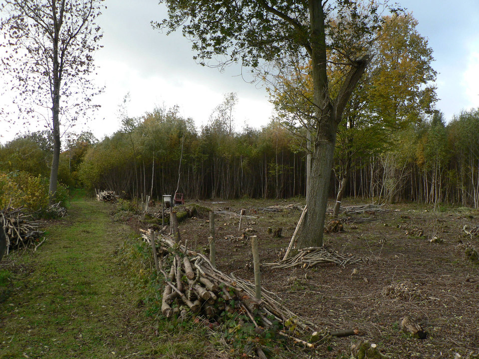 select left of pic for previous, right for next, top for index