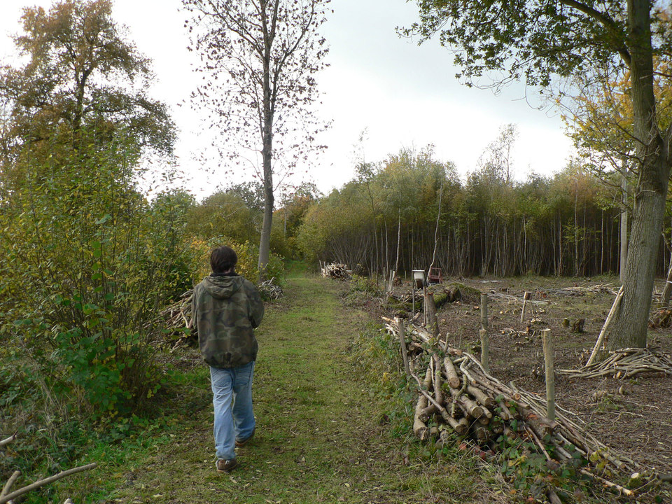 select left of pic for previous, right for next, top for index