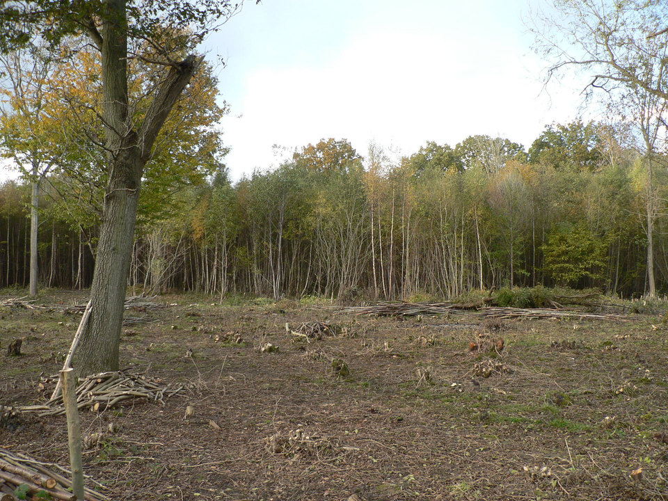 select left of pic for previous, right for next, top for index