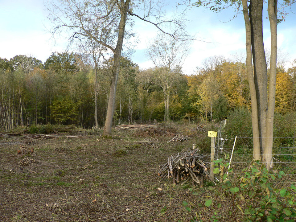 select left of pic for previous, right for next, top for index