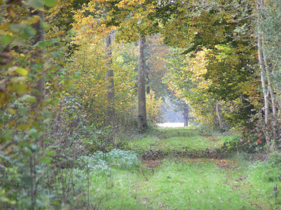 select left of pic for previous, right for next, top for index