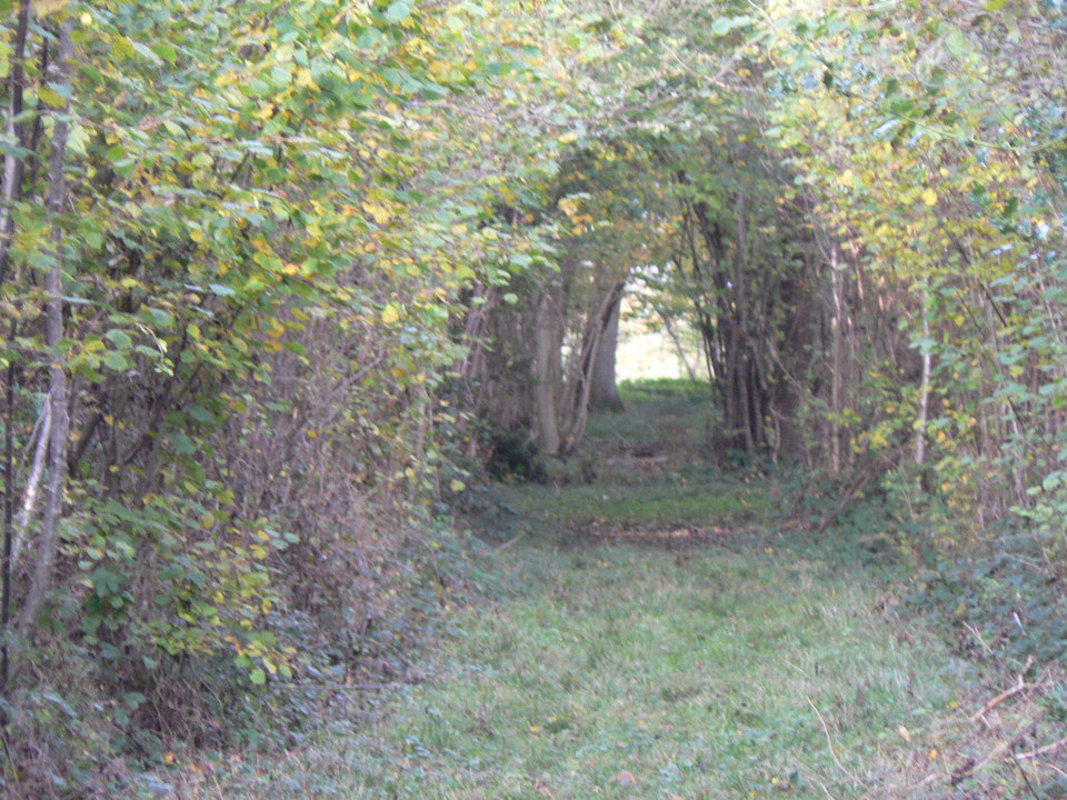 select left of pic for previous, right for next, top for index