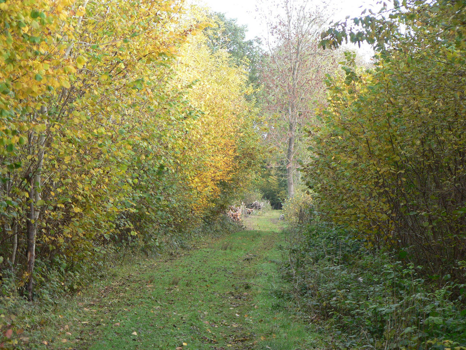 select left of pic for previous, right for next, top for index