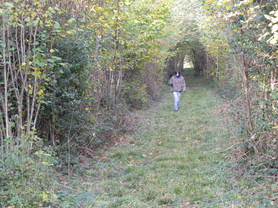 select left of pic for previous, right for next, top for index