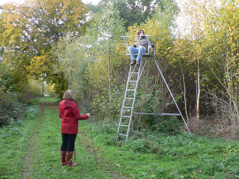 select left of pic for previous, right for next, top for index