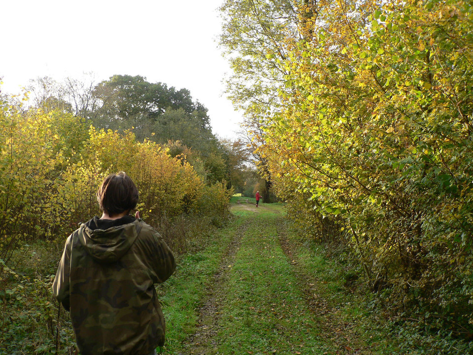 select left of pic for previous, right for next, top for index