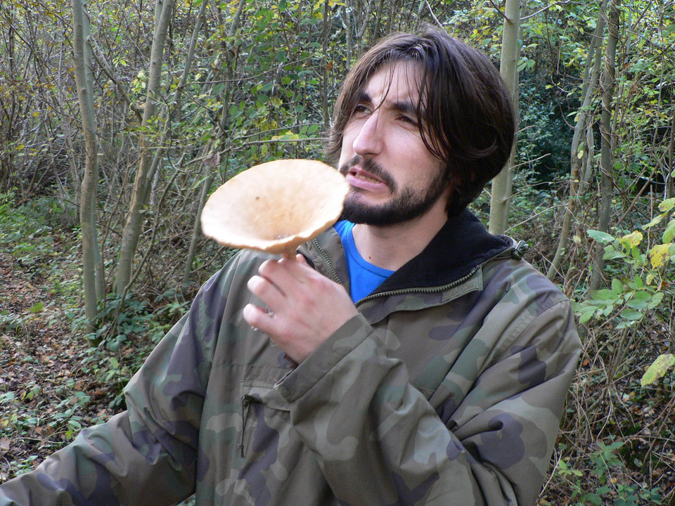 select left of pic for previous, right for next, top for index