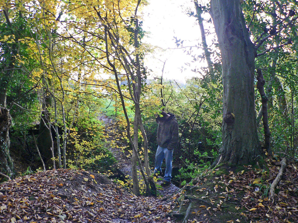 select left of pic for previous, right for next, top for index