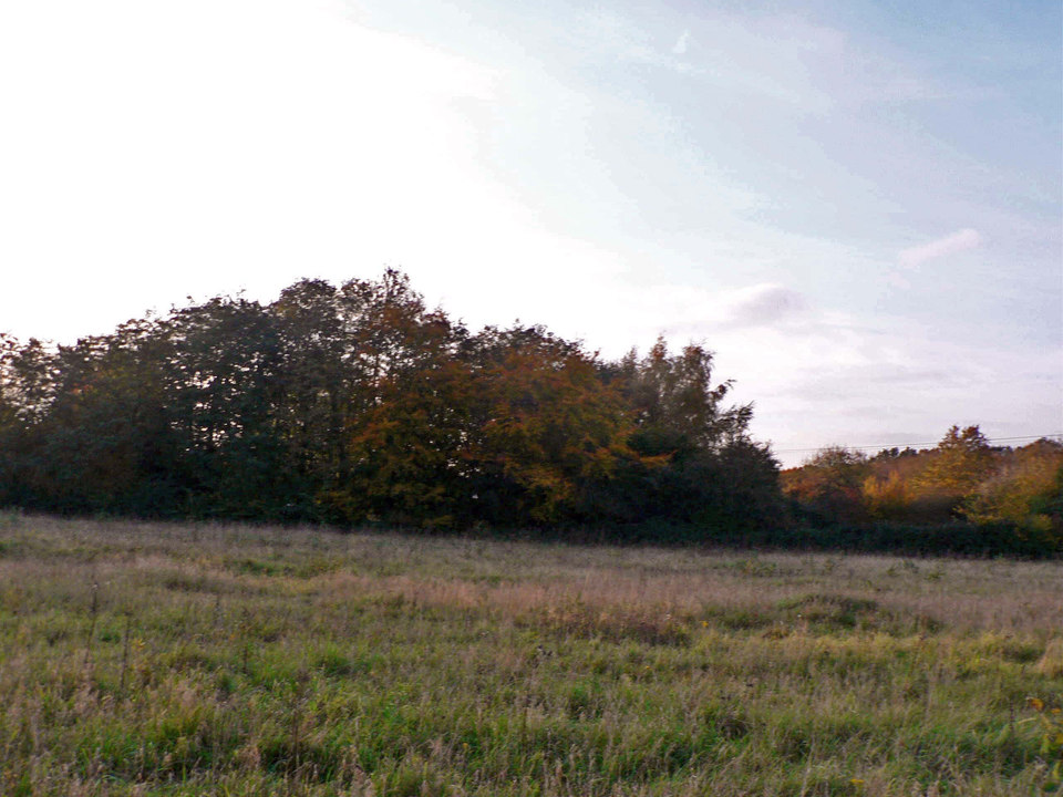 select left of pic for previous, right for next, top for index