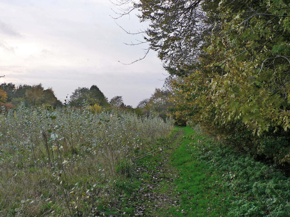 select left of pic for previous, right for next, top for index