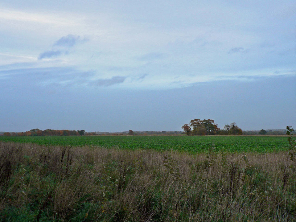 select left of pic for previous, right for next, top for index