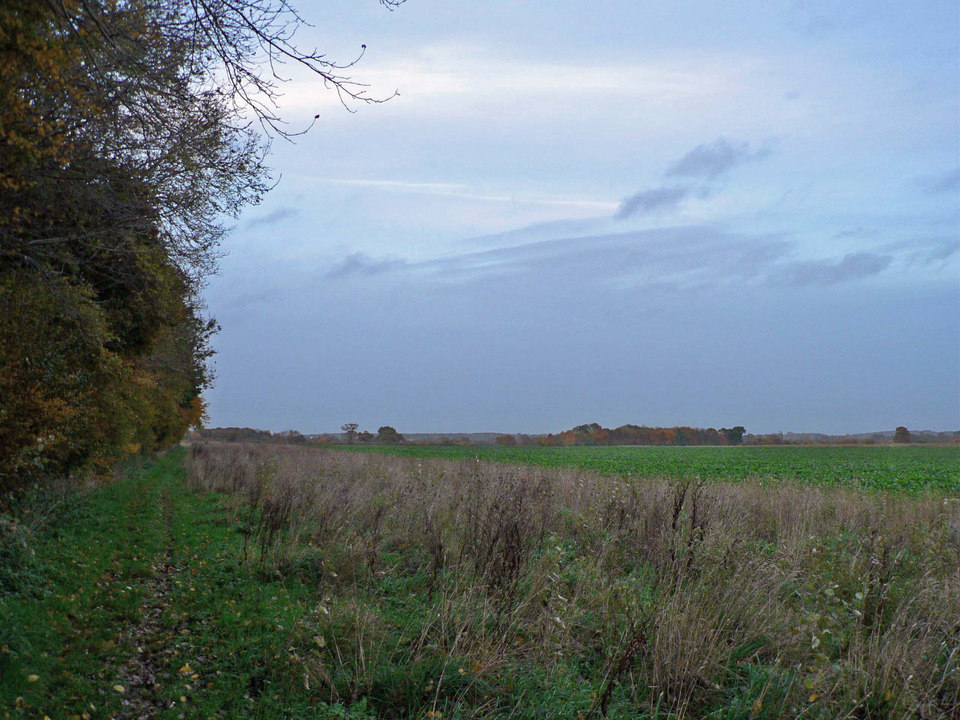 select left of pic for previous, right for next, top for index