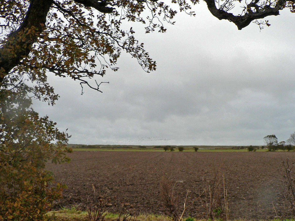 select left of pic for previous, right for next, top for index