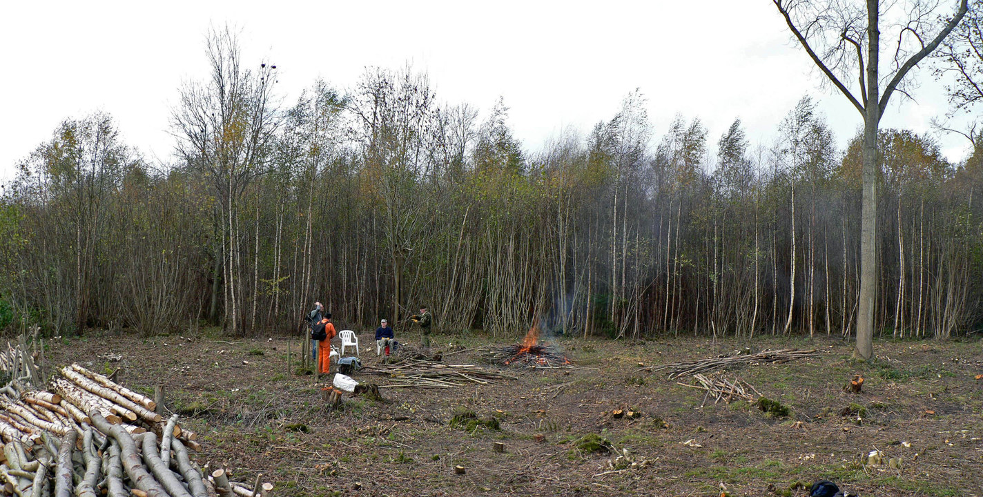 select left of pic for previous, right for next, top for index