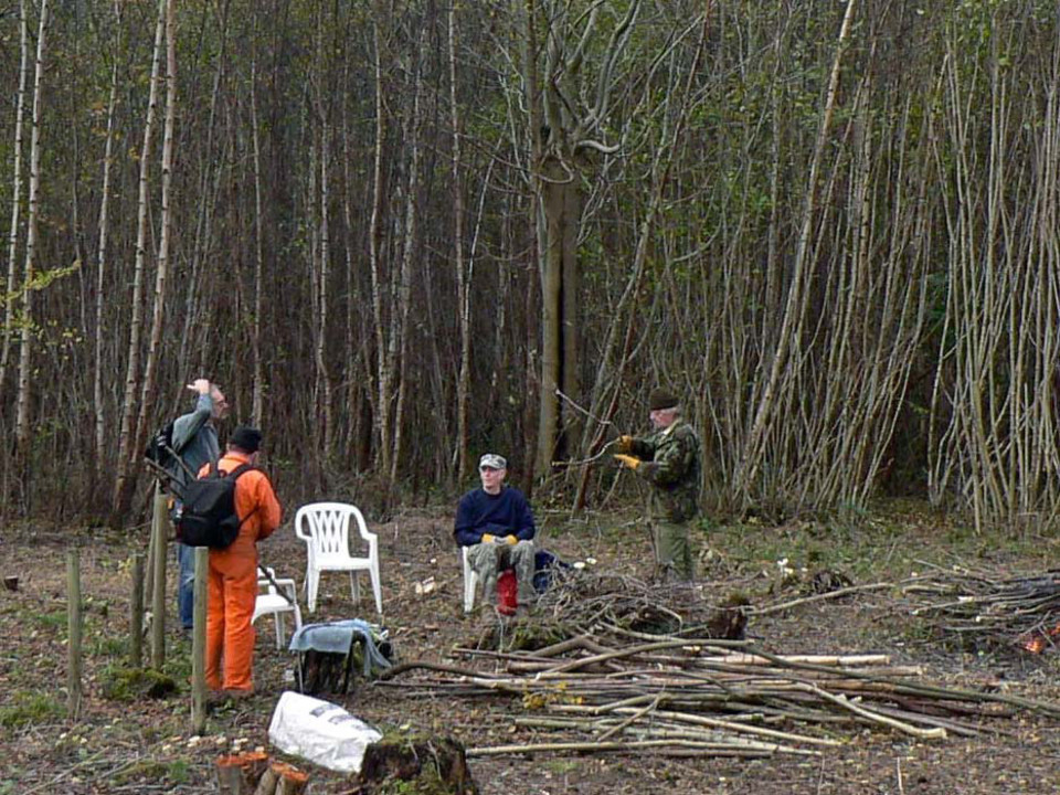 select left of pic for previous, right for next, top for index