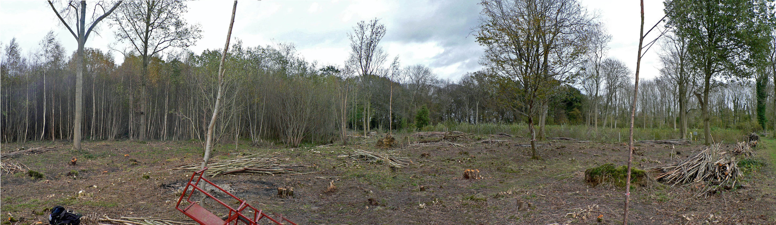 select left of pic for previous, right for next, top for index