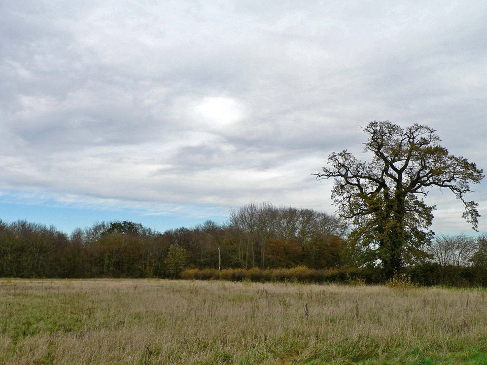 select left of pic for previous, right for next, top for index