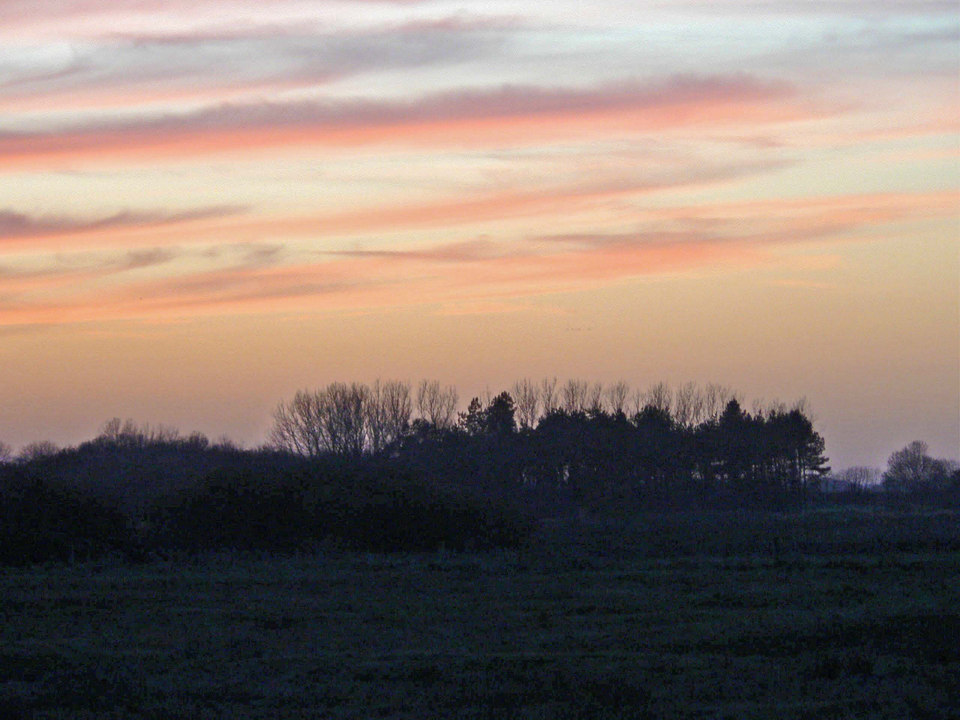 select left of pic for previous, right for next, top for index