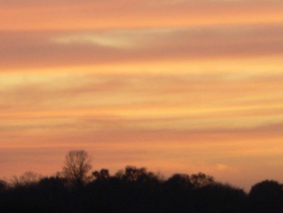 select left of pic for previous, right for next, top for index