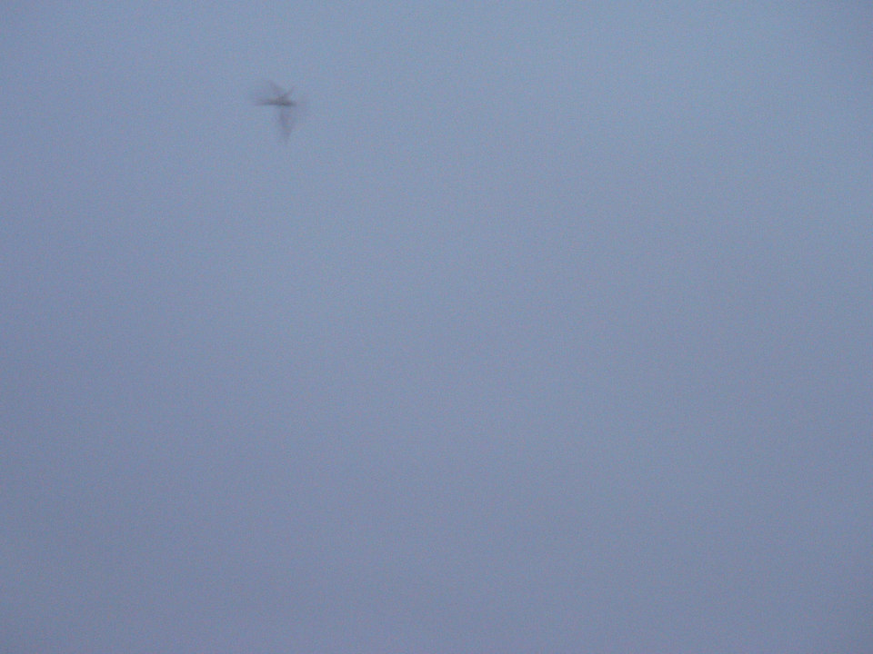 select left of pic for previous, right for next, top for index