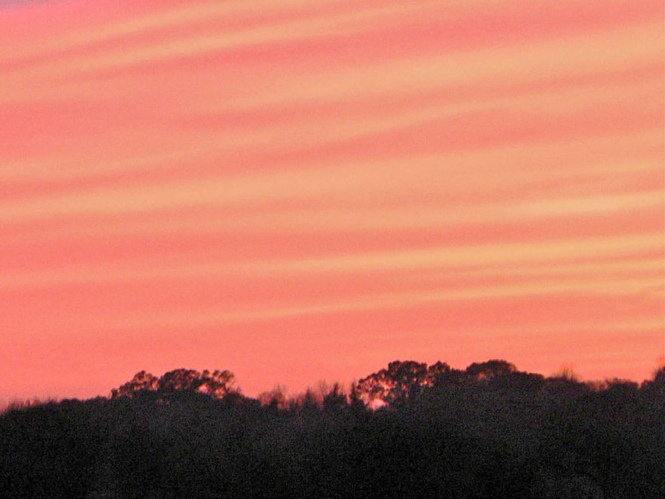 select left of pic for previous, right for next, top for index